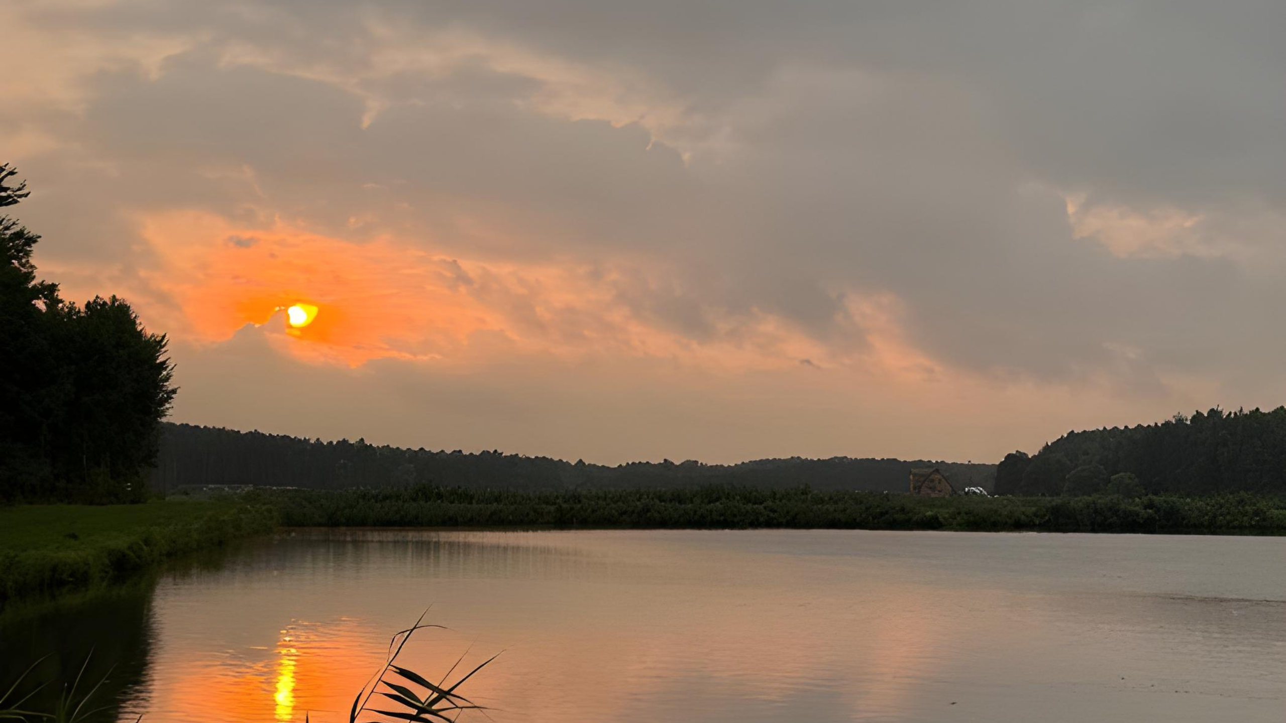 Widok na jezioro z domkami